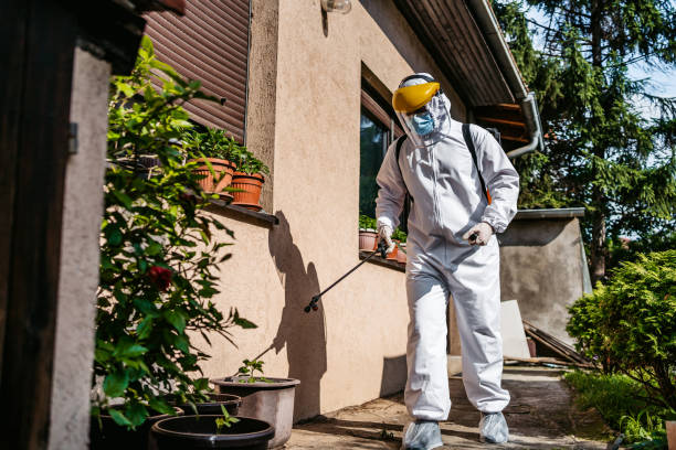 Best Local Pest Control Services  in Porter Heights, TX