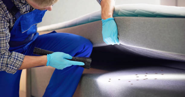 Best Affordable Pest Control Services  in Porter Heights, TX