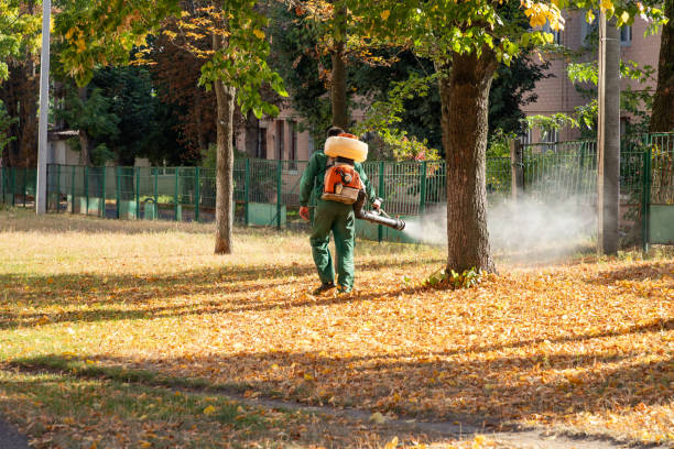 Best Local Pest Control Services  in Porter Heights, TX