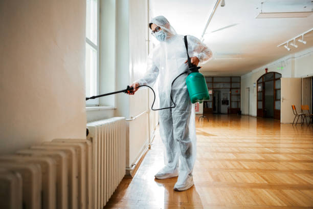 Best Affordable Pest Control Services  in Porter Heights, TX