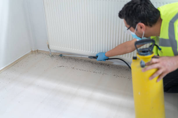 Best Exterminator Services  in Porter Heights, TX
