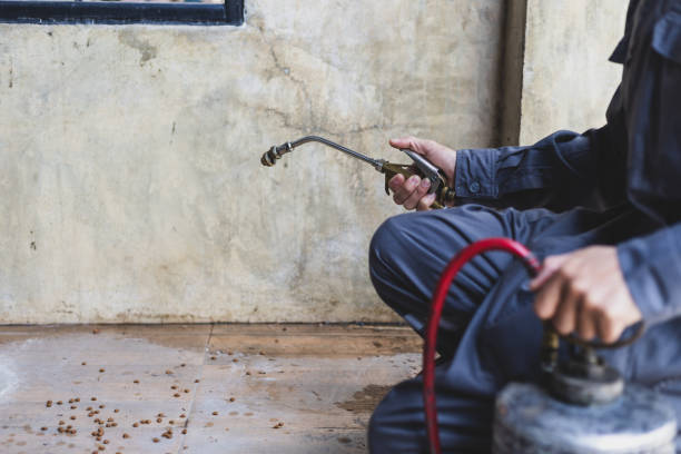 Best Residential Pest Control  in Porter Heights, TX